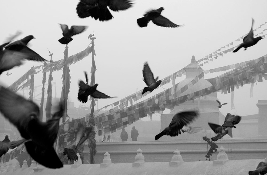 NEPAL Kathmandu -- Pigeons fly during an early winter morning at the great stupa at Boudha Kathmandu Nepal -- Picture by Jonathan Mitchell / Lightroom Photos